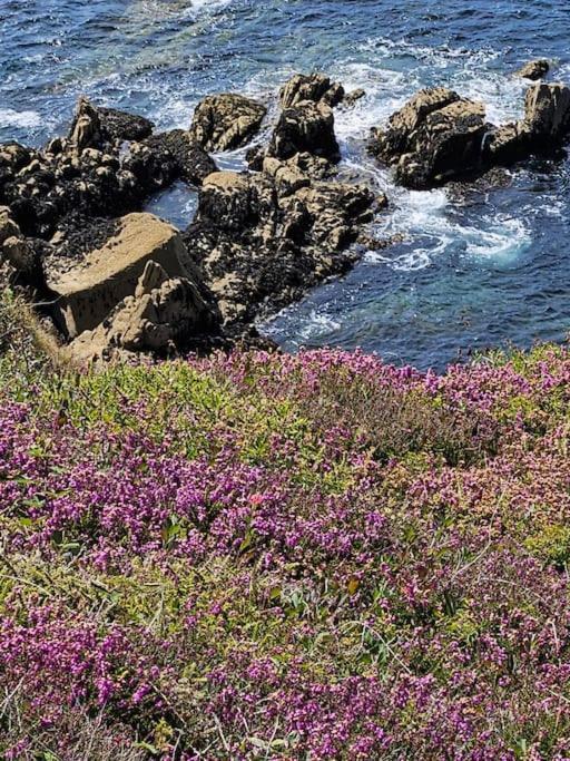 Maisonnette Des Sables Blancs Avec Jardinet Treboul Apartment Douarnenez